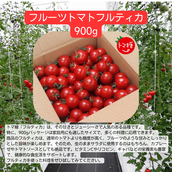 【朝どれ】食べ出したら止まらない※おいし～甘～いトマ糖※フルティカ糖度９度以上※900ｇを２箱